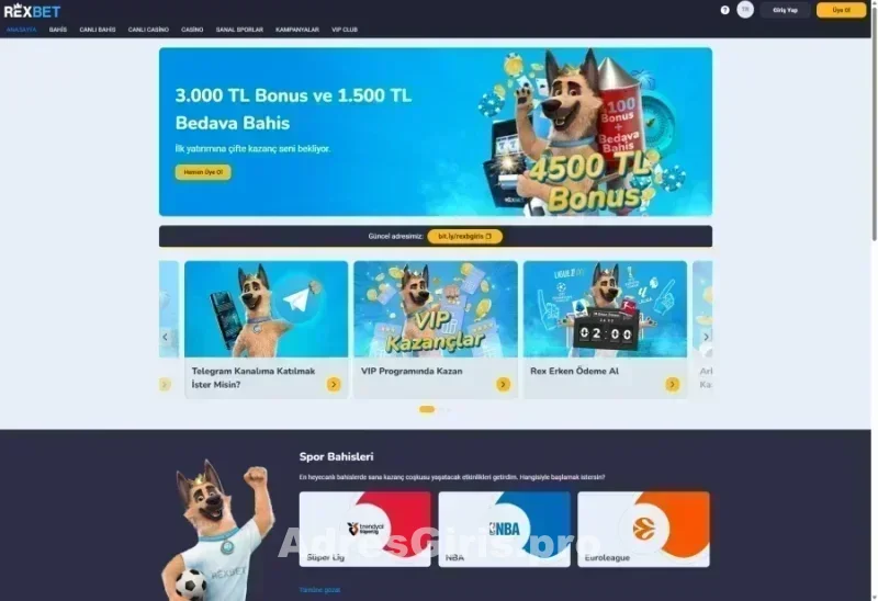 Rexbet